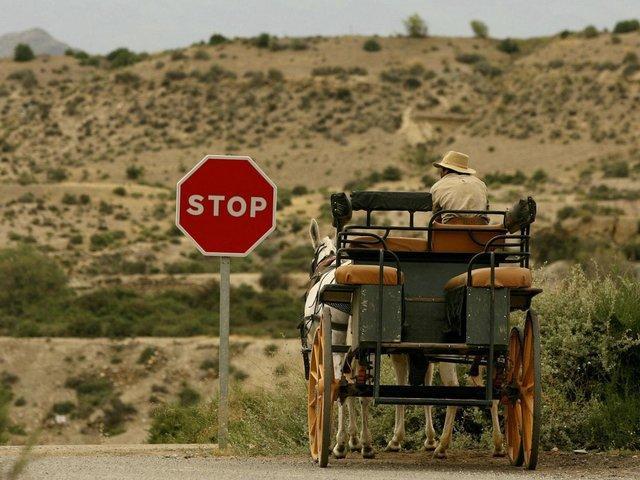 گرسنگی در کمین دو میلیون نفر از مردم آمریکای مرکزی گرسنگی در کمین دو میلیون نفر از مردم آمریکای مرکزی