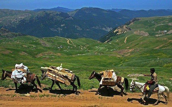باید تورهای گردشگری عشایری در کرمانشاه تعریف کنیم باید تورهای گردشگری عشایری در کرمانشاه تعریف کنیم