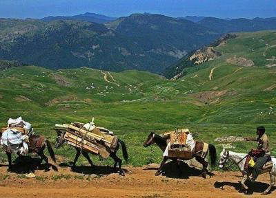 باید تورهای گردشگری عشایری در کرمانشاه تعریف کنیم