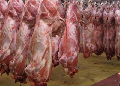 فراوری گوشت و مرغ سال جاری عالی است