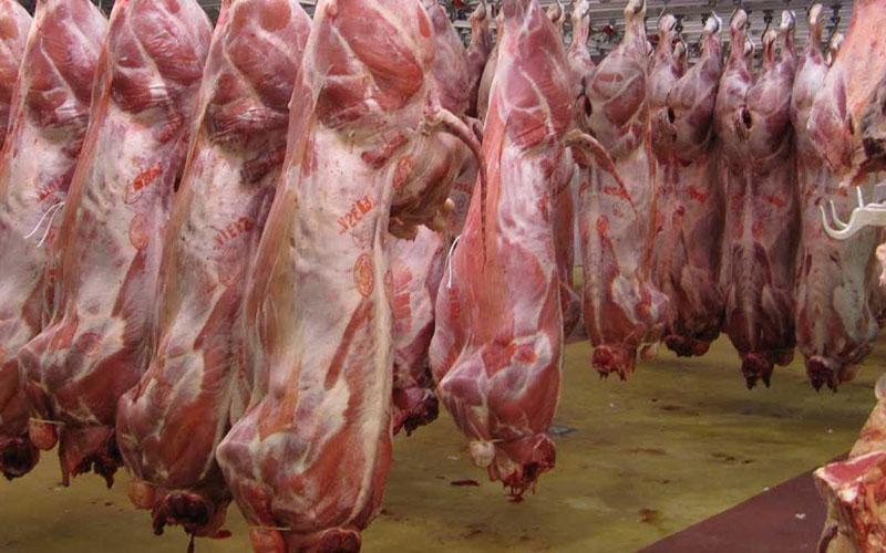تولید گوشت و مرغ امسال عالی است فراوری گوشت و مرغ سال جاری عالی است
