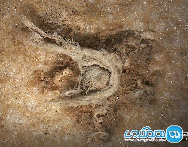سازنده نخستین طناب جهان در 50 هزار سال پیش مشخص شد سازنده نخستین طناب جهان در 50 هزار سال پیش تعیین شد