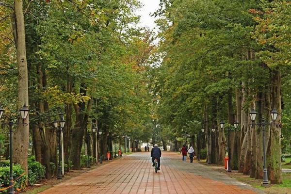 باغ محتشم رشت آشنایی با باغ محتشم رشت
