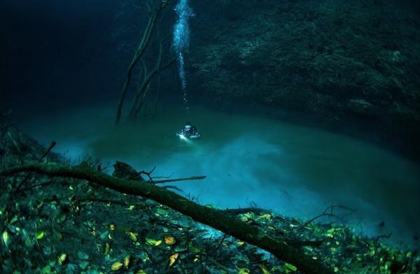 تور مکزیک: سنوته آنجلیتا (Angelita Cenote) تور مکزیک: سنوته آنجلیتا (Angelita Cenote)