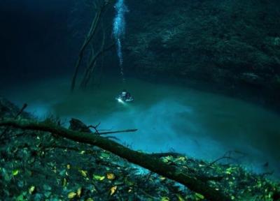 تور مکزیک: سنوته آنجلیتا (Angelita Cenote)
